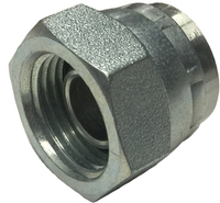 BSPP Swivel Cap 3/8