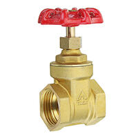 Brass Gate Valves 2" Pipe