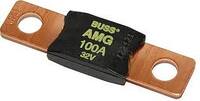 Mega Fuse 100 Amp